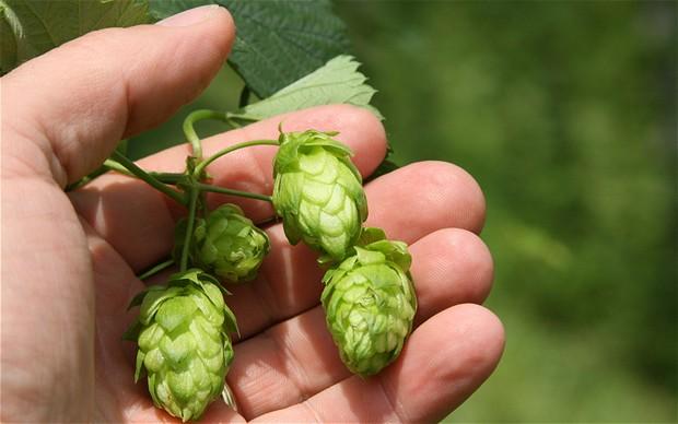 Bierproeverij met de Bierverteller